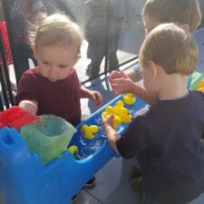 littles duck races